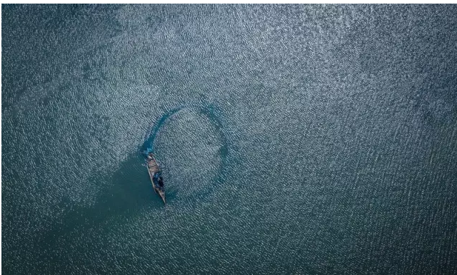QQ截图20170214144326.png