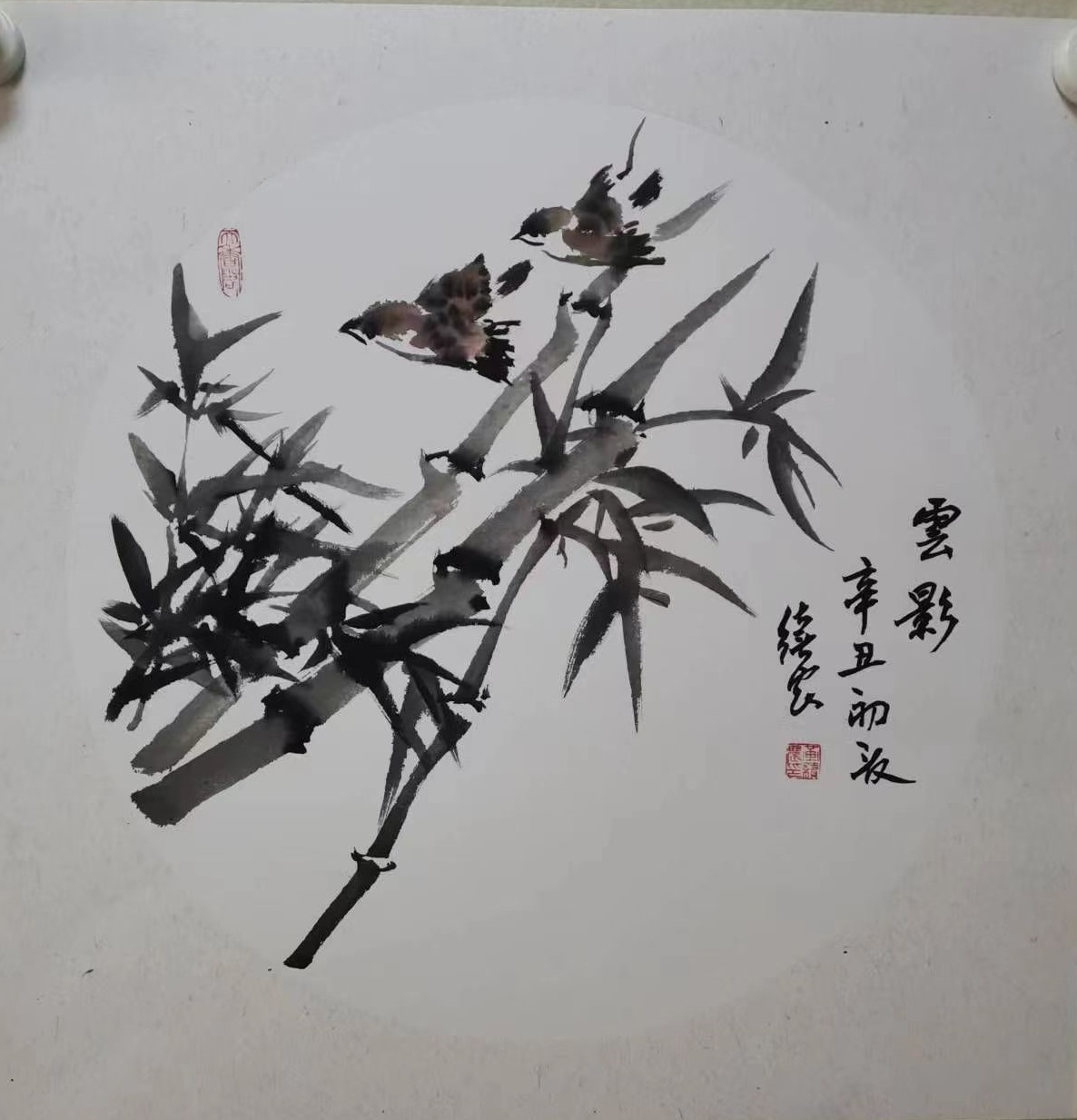 云影.jpg
